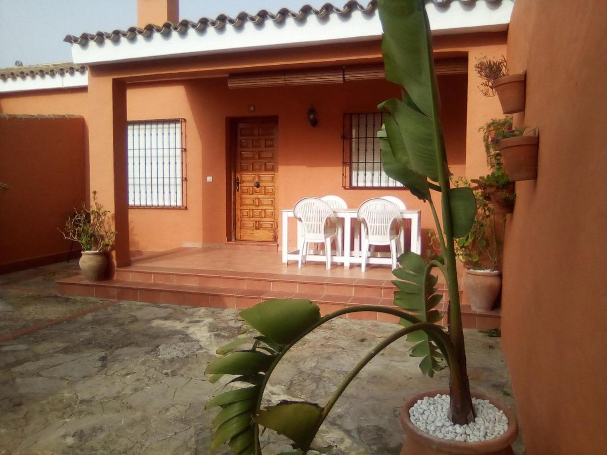 Villa Encarna Alojamientos Turisticos Con Piscina Comunitaria * Conil De La Frontera